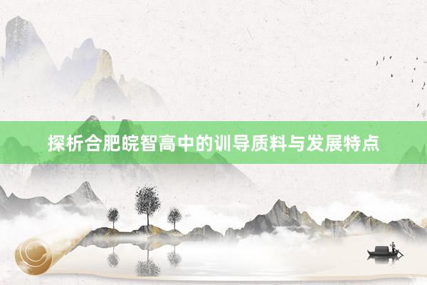 探析合肥皖智高中的训导质料与发展特点